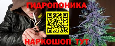 прущие грибы Можайск