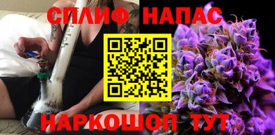 прущие грибы Можайск