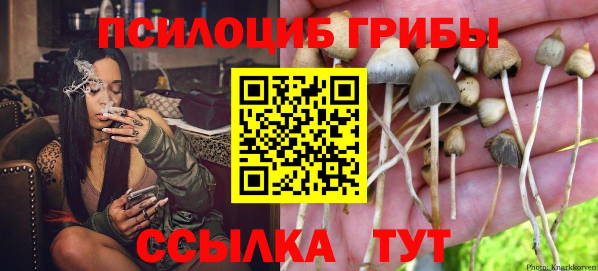 как найти наркотики  Галлюциногенные грибы Psilocybe  Псилоцибиновые грибы мицелий  Вход с VPN  Усинск 